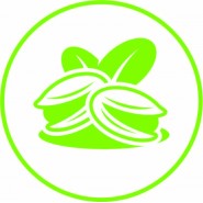 开心果