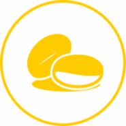 豆子